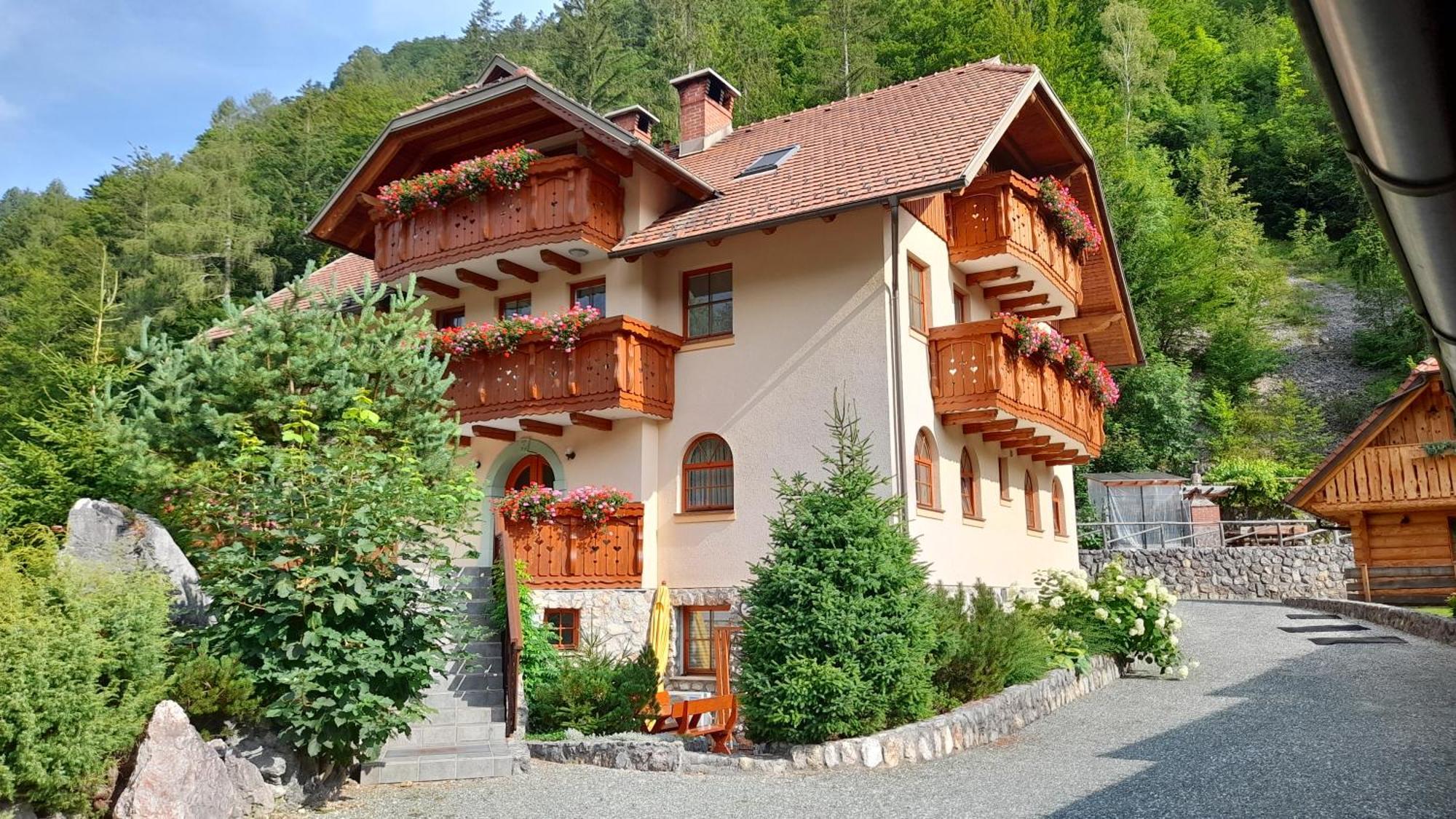 Apartma In Bungalov Jezerci Gozd Martuljek Extérieur photo